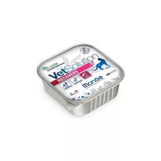 Monge VetSolution Cat Food – Advanced Veterinary Nutrition for Healthy Cats